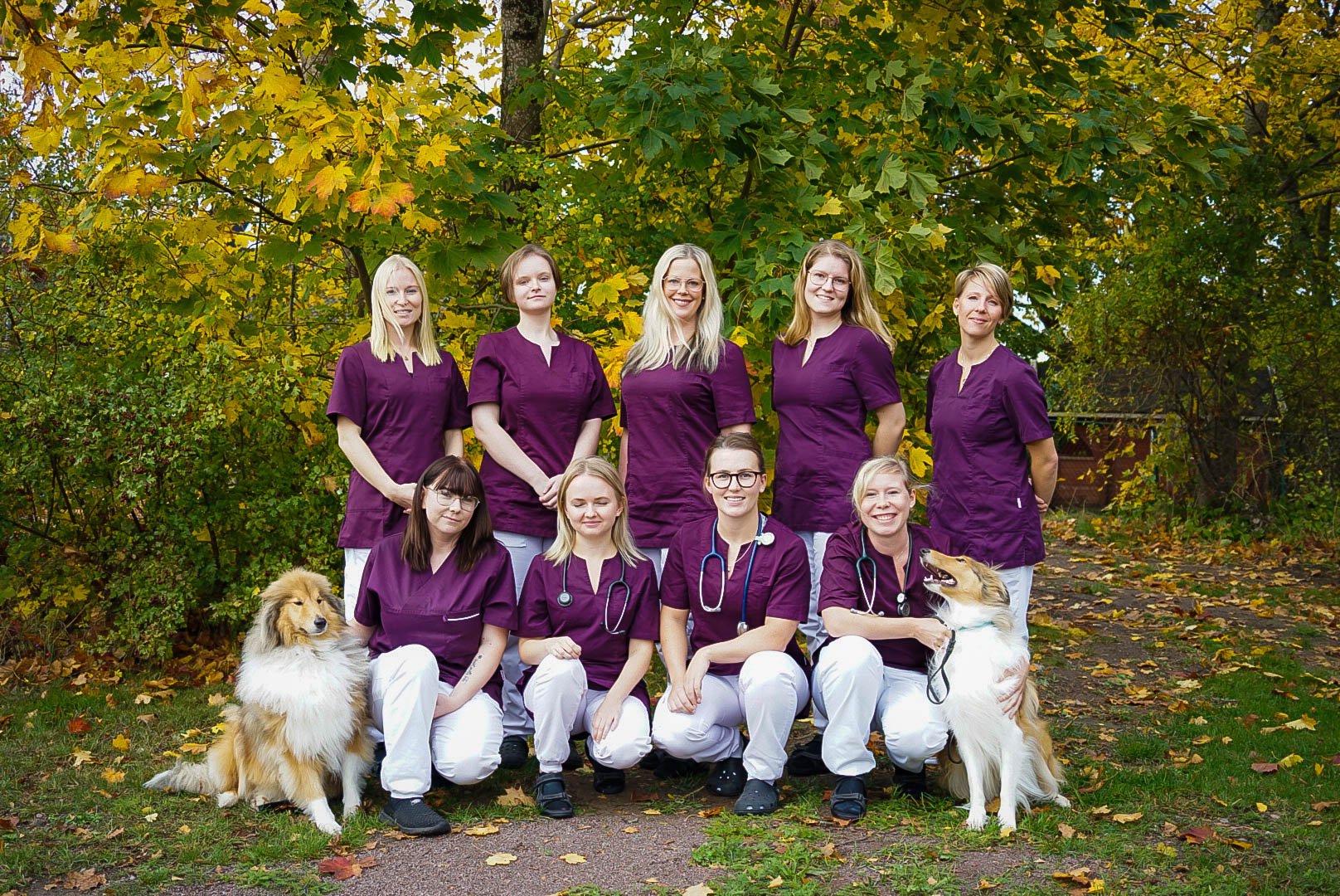 Better workflows and simpler everyday life when Motala Animal clinic